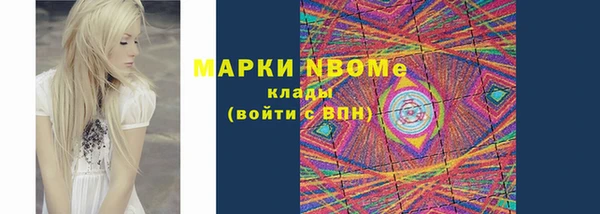 дмт Инсар
