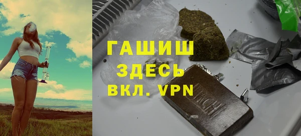 дмт Инсар