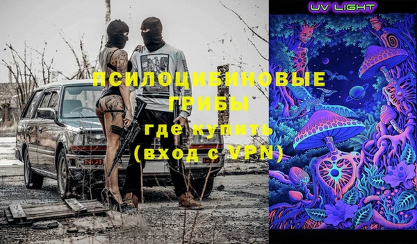дмт Инсар
