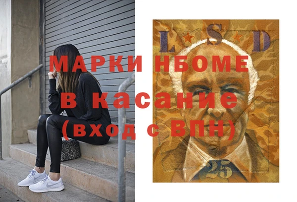 дмт Инсар