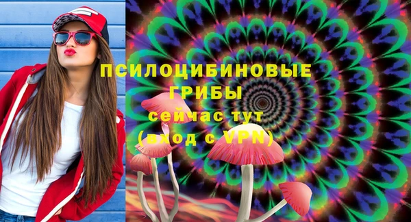 дмт Инсар