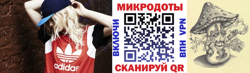 Галлюциногенные грибы Magic Shrooms  Купить закладки  Кудымкар 