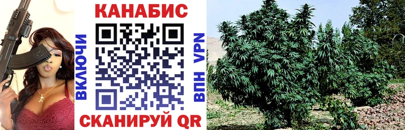 Купить где  Кудымкар  Конопля SATIVA & INDICA 